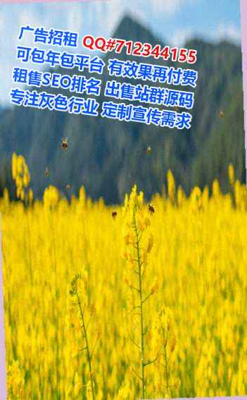 金城江代生软件经营部